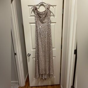 Adrianna Papell Champagne Sequin Dress